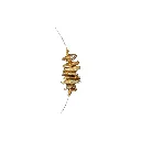 6 - MINA - C.0104 - Détail collier cable perles cuivrées.webp